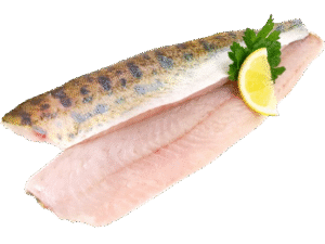 Gösfilé – Nordisk Delikatess