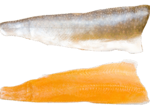 rödingfilé svensk färskfryst fjällfisk