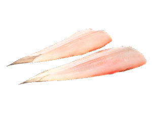 Sjötungafilé – Havets exklusiva delikatess